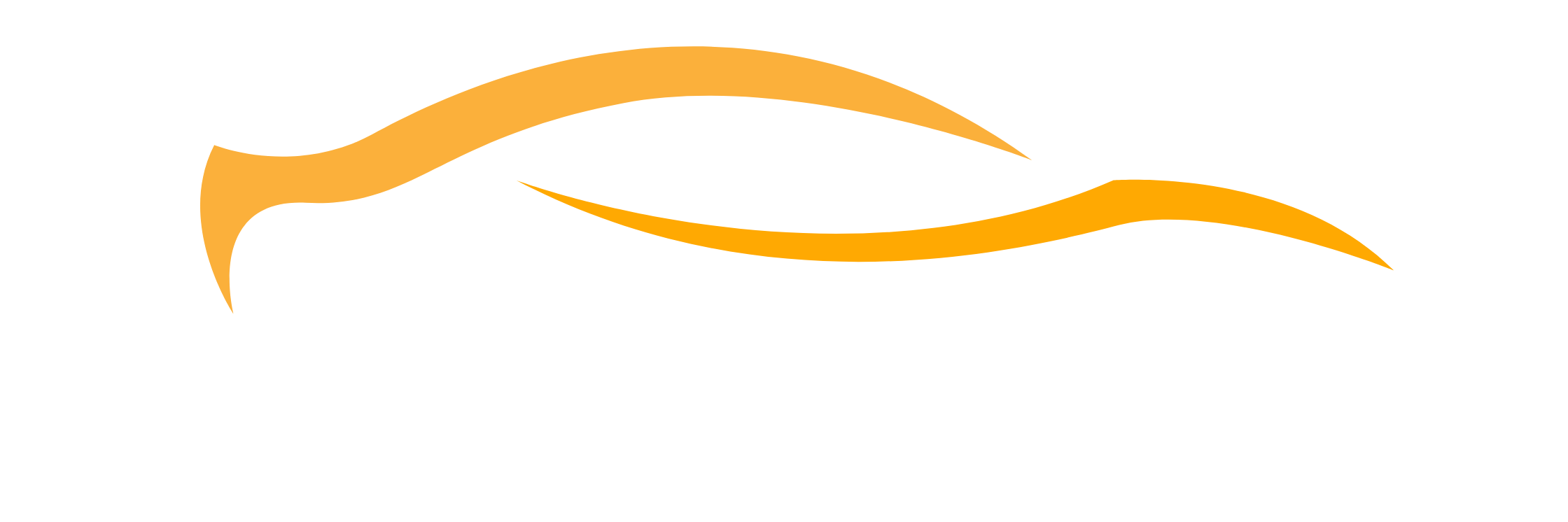 Sonney Auto Logo
